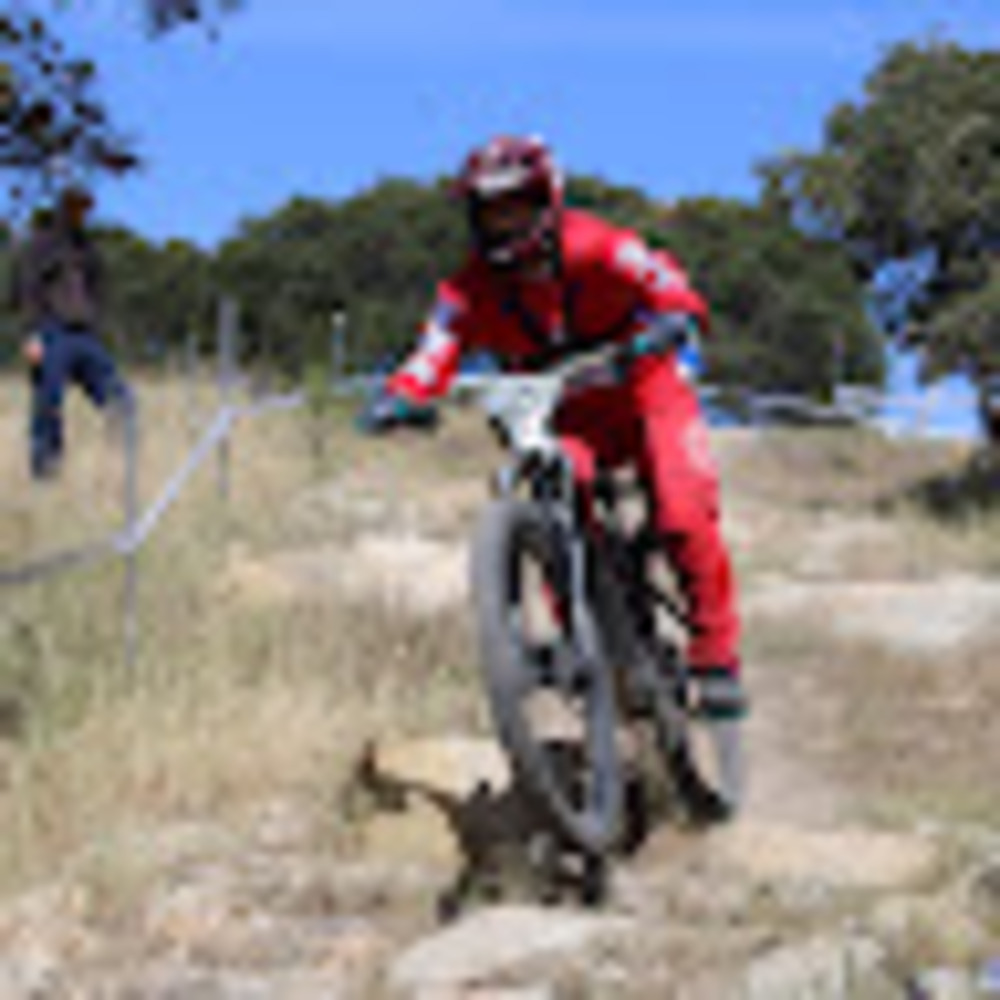 Meet your Posher, Joseph